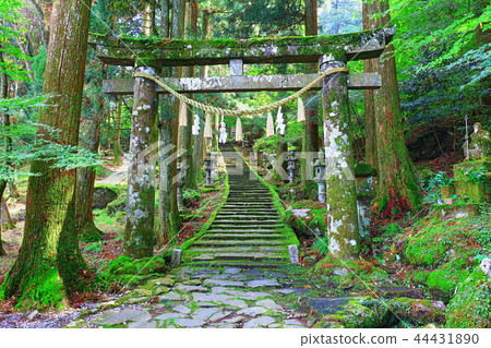 Hidehiko Toyosenbo observation deck climbing entrance (Takazumi Shrine approach) 44431890