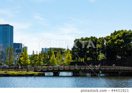 （東京都市風景）Wadakura Pass和Shiba地區1的風景 44431921