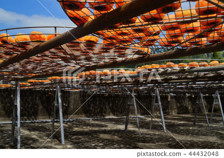 新竹 柿餅 北埔 秋天 曬柿餅 六塘石柿餅 Taiwan Dried Persimmon 干し柿 新竹 柿餅 北埔 秋天 曬柿餅 六塘石柿餅 Taiwan Dried Persimmon 干し柿 44432048