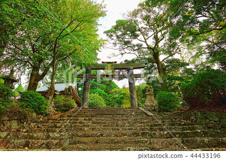 Kantori no Torii (Osaka): Ogata Hidehiko, Soeda-cho, Tagawa-gun, Fukuoka Prefecture Kantori no Torii (Osaka): Ogata Hidehiko, Soeda-cho, Tagawa-gun, Fukuoka Prefecture 44433196