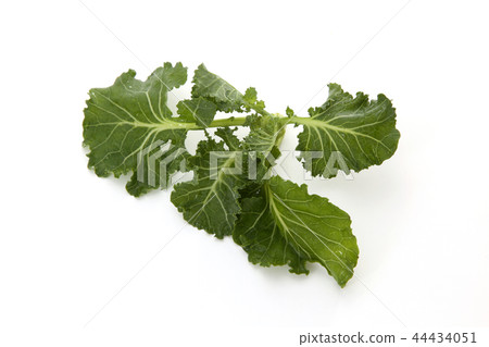 Petit veil Petit veil 44434051