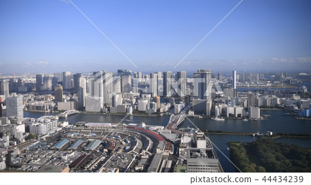 東京都市風景在日本築地市場·歷史83年，關閉6天。緊隨其後的是豐洲市場等。 44434239