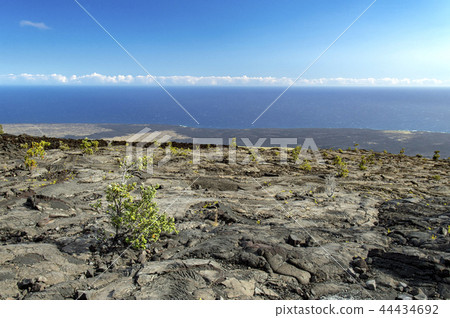 夏威夷 海 大海 44434692