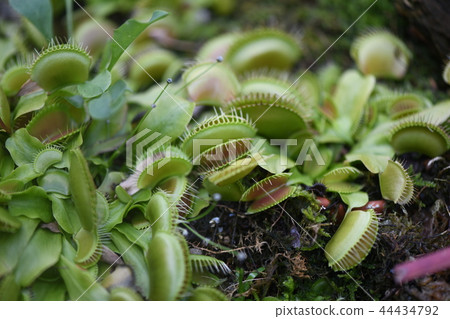 Fly truss Fly truss 44434792