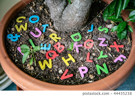 Colorful alphabet Colorful alphabet 44435238