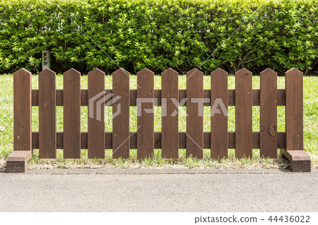 在草的布朗籬芭 44436022