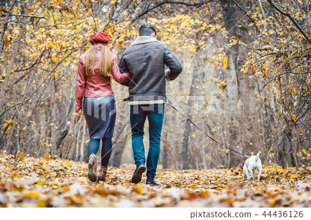 Woman and man in the fall strolling with their dog in the park Woman and man in the fall strolling with their dog in the park 44436126
