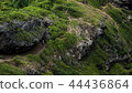 Hawaii trekking 44436864