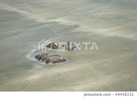 Sand ripples created by Takinami buried rock 44438152