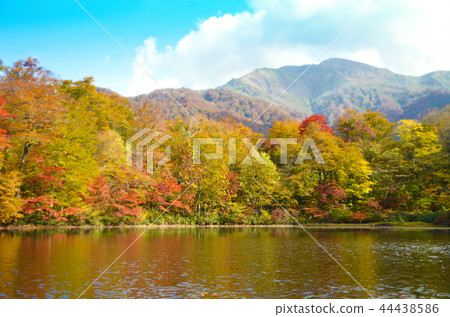 Kariike池塘秋葉白山國家公園 44438586