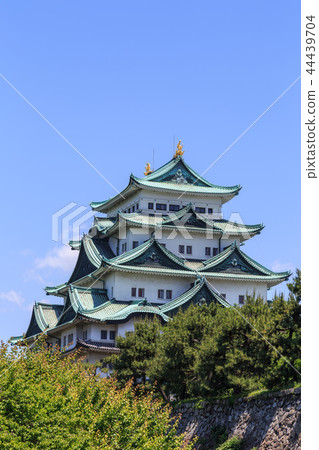 Nagoya Castle wrapped in fresh green 44439704