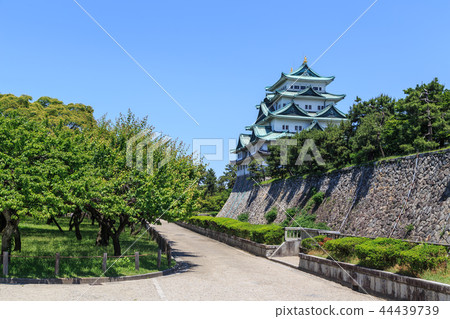 Nagoya Castle wrapped in fresh green Nagoya Castle wrapped in fresh green 44439739