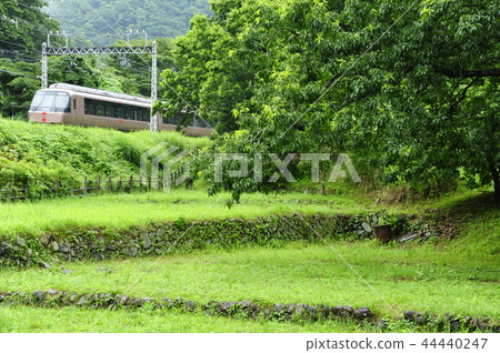 Romance car Romance car 44440247