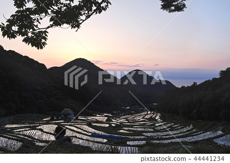 [靜岡縣]石部梯田（石部梯田） 44441234