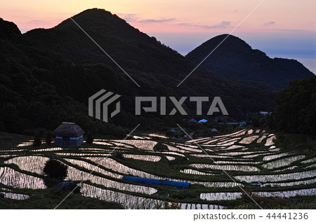[靜岡縣]石部梯田（石部梯田） 44441236
