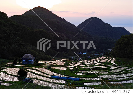 [靜岡縣]石部梯田（石部梯田） 44441237