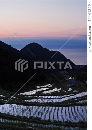[Shizuoka Prefecture] Rice terraces in Ishibe (Ishibe rice terraces) 44441249