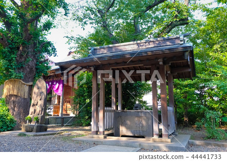 Chikudo Hachiman Shrine Temizusha Chikudo Hachiman Shrine Temizusha 44441733