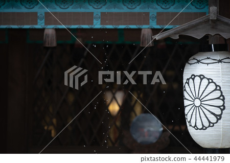 Photograph of the grounds of Shimogamo-jinja Shrine, Kawago Shrine in Sakyo-ku, Kyoto City 44441979