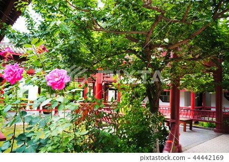 中國園林 中國園林 44442169