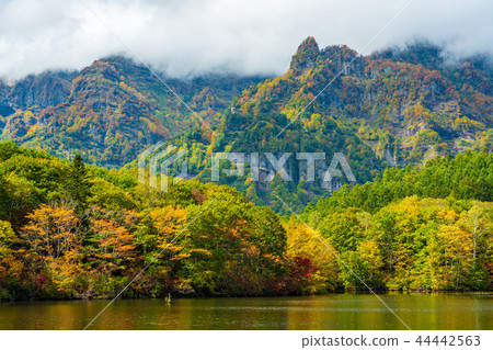 [Nagano Prefecture] Togakushi Kogen Kagamiike autumn leaves 44442563