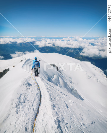 Trekking to the top of Mont Blanc mountain in French Alps Trekking to the top of Mont Blanc mountain in French Alps 44442775