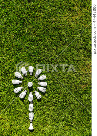 Energy efficient light bulbs on green grass Energy efficient light bulbs on green grass 44442800