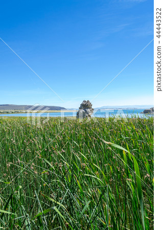 Tufa rock formation characteristic of Mono lake 44443522