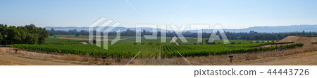 Vineyards at Sonoma valley 44443726