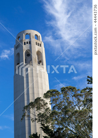 Coit tower in San Francisco Coit tower in San Francisco 44443736