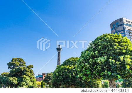 橫濱Yamashita公園都市風景有一個清楚的秋天的 橫濱Yamashita公園都市風景有一個清楚的秋天的 44443814