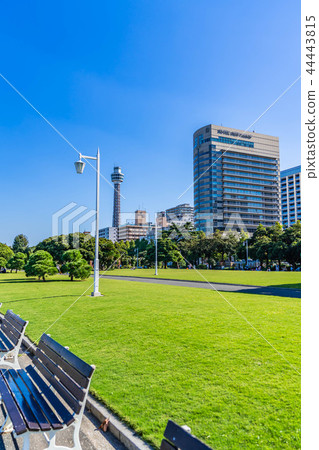 橫濱Yamashita公園都市風景有一個清楚的秋天的 44443815