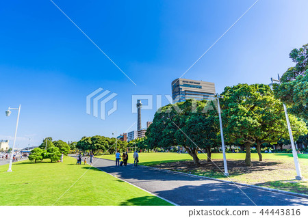 橫濱Yamashita公園都市風景有一個清楚的秋天的 44443816