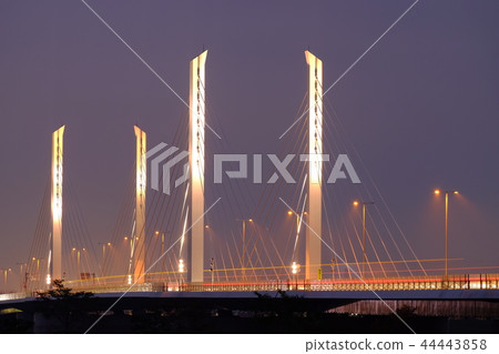 Bando Ohashi夜視圖 44443858