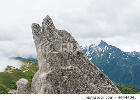 Yubari海豚岩 Yubari海豚岩 44444043