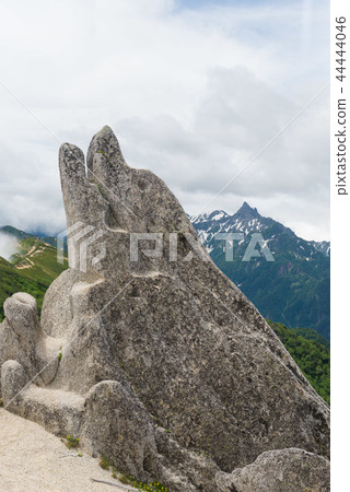 Yubari海豚岩 Yubari海豚岩 44444046