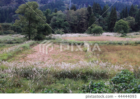 Abandoned land in the mountains Abandoned land in the mountains 44444093