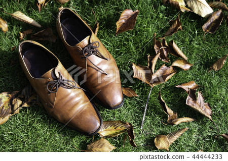 Brown business shoes Brown business shoes 44444233