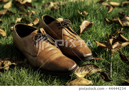 Brown business shoes Brown business shoes 44444234