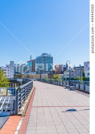 Yokohama Minato Mirai's cityscape in clear autumn 44444560