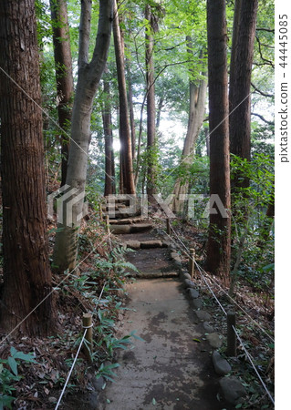 Miyama Mizunami噴泉花園的花園路 44445085