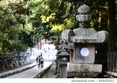 Stone lantern 44445652