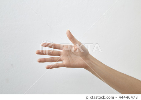 44446478