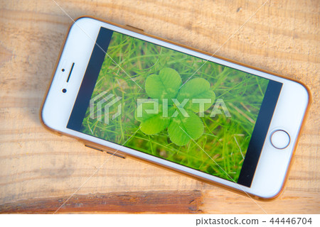 Fortune four leaf clover 44446704