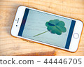 Fortune four leaf clover 44446705