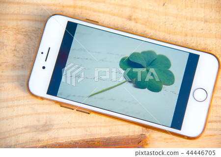 Fortune four leaf clover 44446705