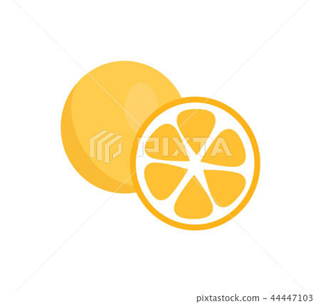 Orange Fruits Icons Closeup Vector Illustration 44447103