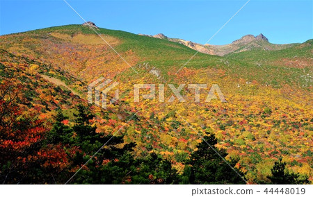 Autumn leaves of Adatarayama Autumn leaves of Adatarayama 44448019