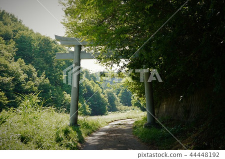 Mount Osuna(Yamiya Shrine)Torii Mount Osuna(Yamiya Shrine)Torii 44448192