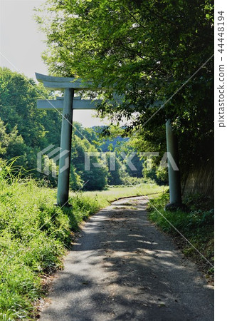 Mount Osuna(Yamiya Shrine)Torii Mount Osuna(Yamiya Shrine)Torii 44448194